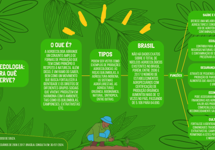 Mapa mental retângulo - Agroecologia