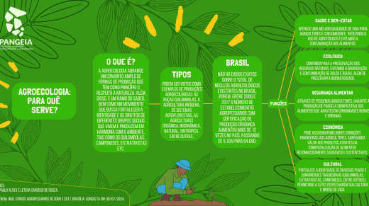 Mapa mental retângulo - Agroecologia