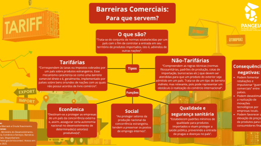 Barreiras Comerciais Para que serve (Retângulo)
