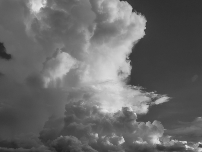 Imagem Principal Foto de Diego Fraga pexels.com