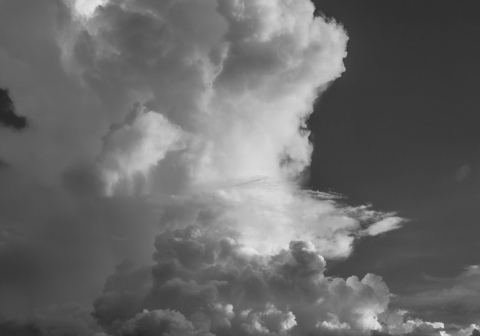 Imagem Principal Foto de Diego Fraga pexels.com