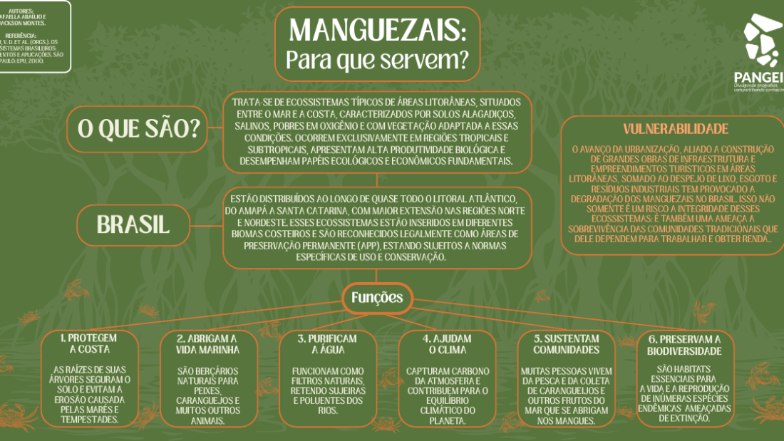 Manguezais Para que serve (Retângulo)