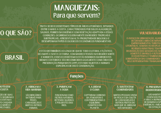 Manguezais Para que serve (Retângulo)